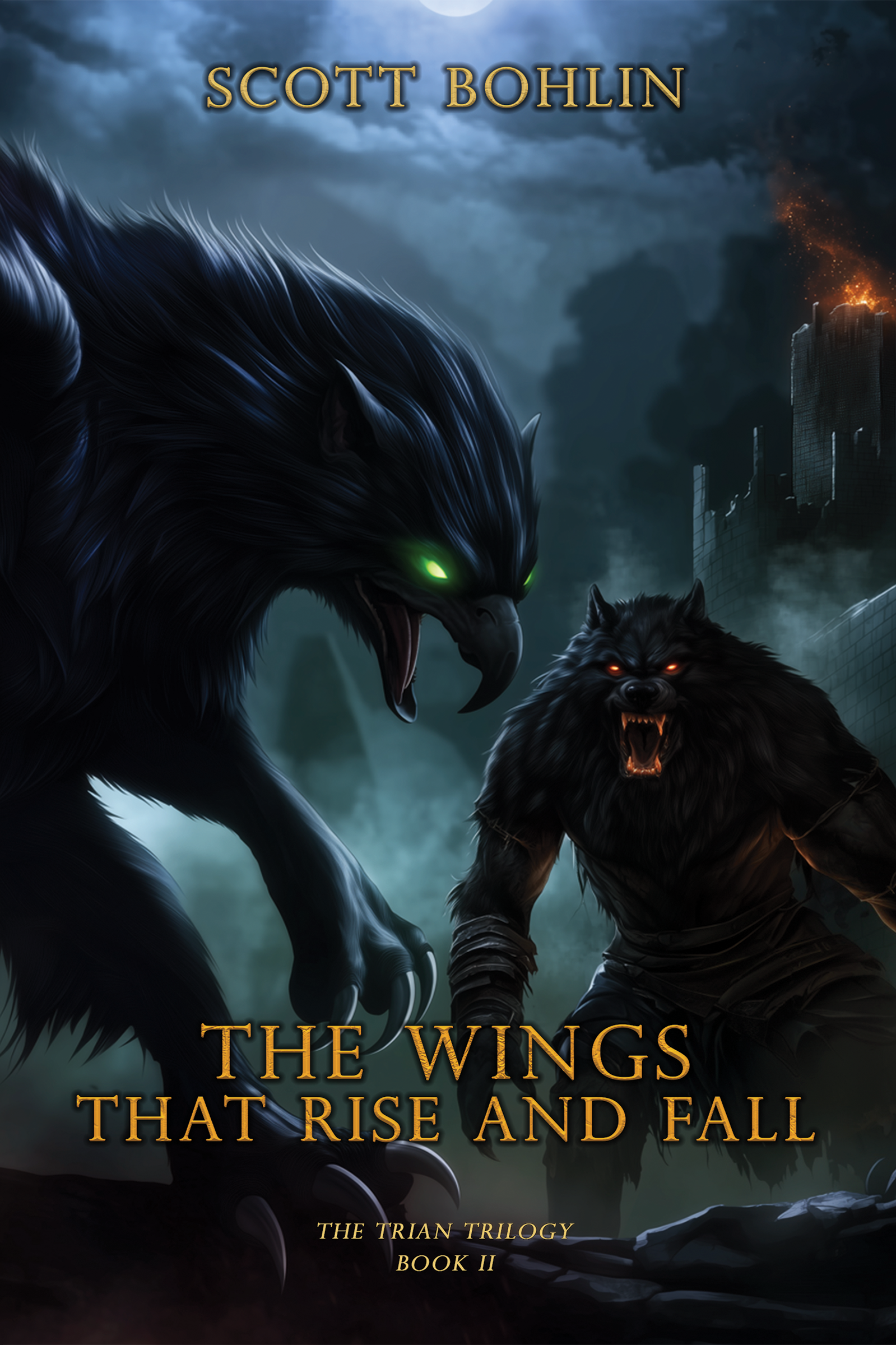 The Wings That Rise and Fall Cover